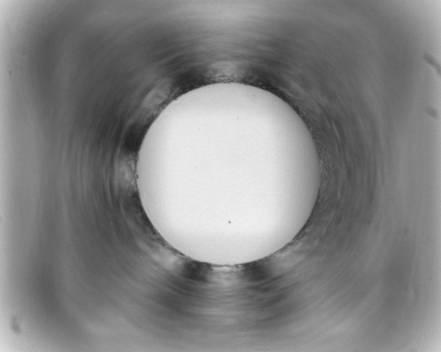 X0000093390240200710251248