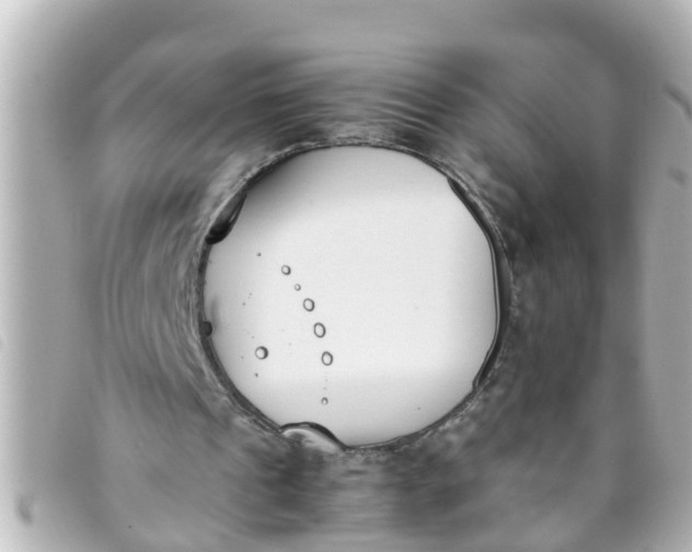 X0000093390241200710251247