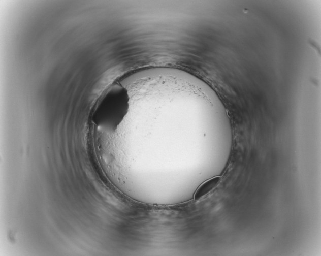 X0000093390242200710251247