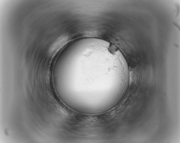 X0000093390243200710251247