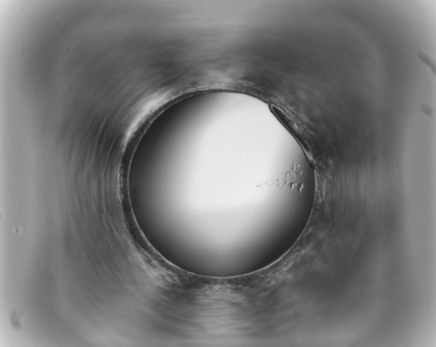 X0000093390244200710251247