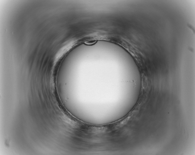 X0000093390245200710251247