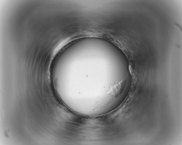 X0000093390246200710251247