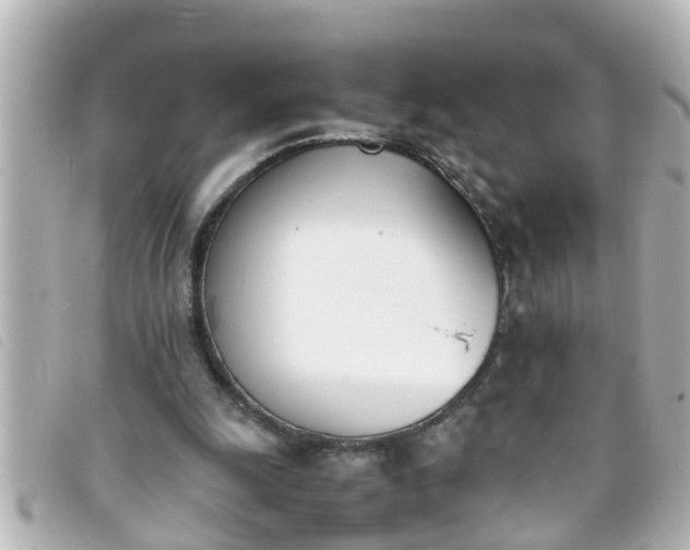 X0000093390247200710251247