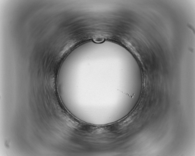 X0000093390249200710251247