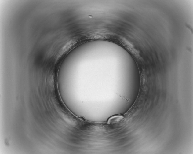 X0000093390250200710251247