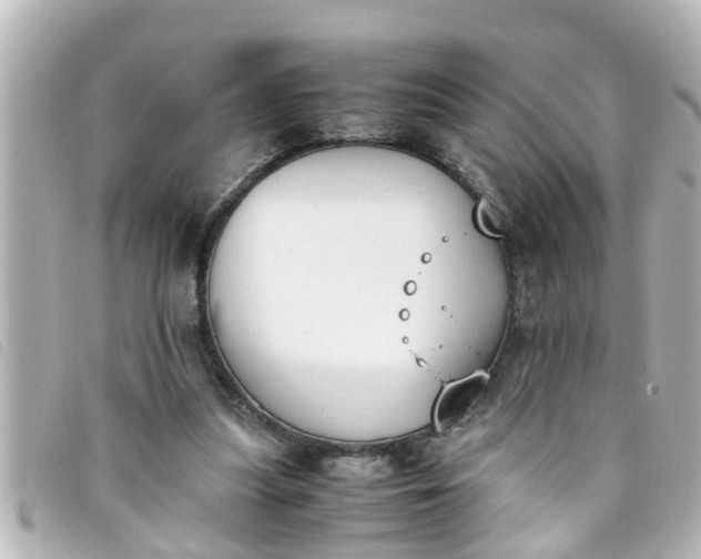 X0000093390251200710251247