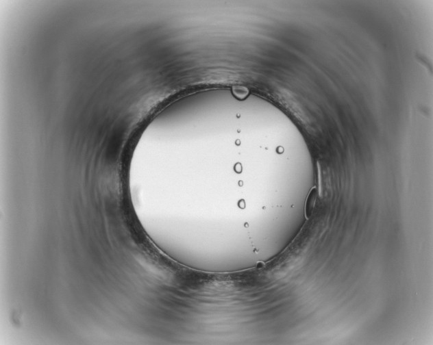 X0000093390252200710251247