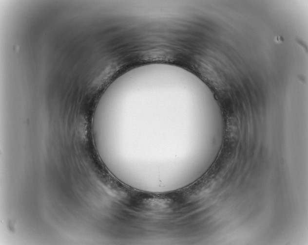 X0000093390255200710251247