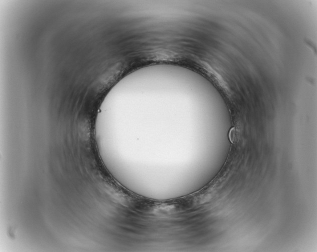 X0000093390257200710251247