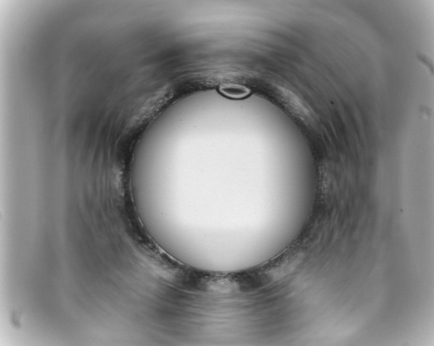 X0000093390258200710251247