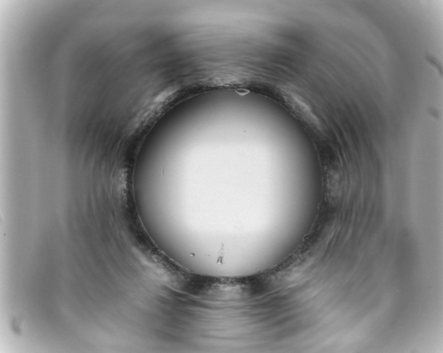 X0000093390260200710251247