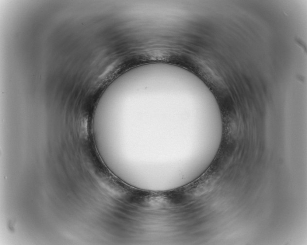 X0000093390262200710251247