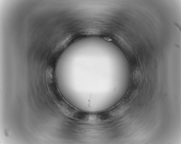 X0000093390264200710251247