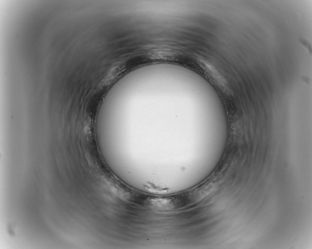 X0000093390265200710251247