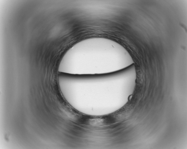 X0000093390266200710251247