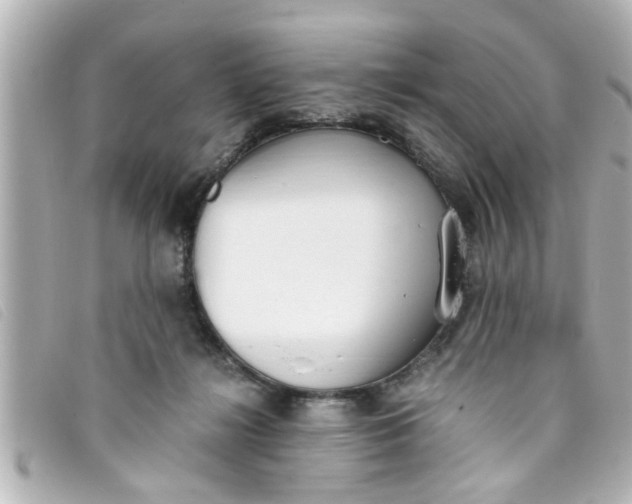 X0000093390268200710251247