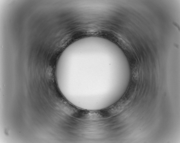 X0000093390270200710251247