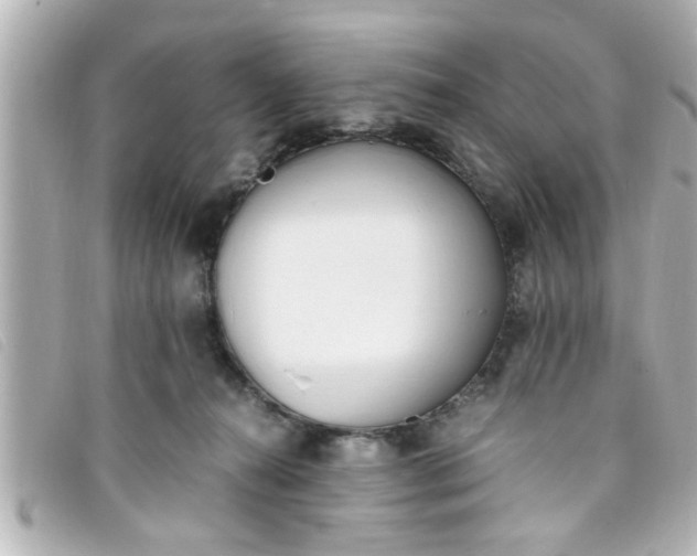 X0000093390272200710251247