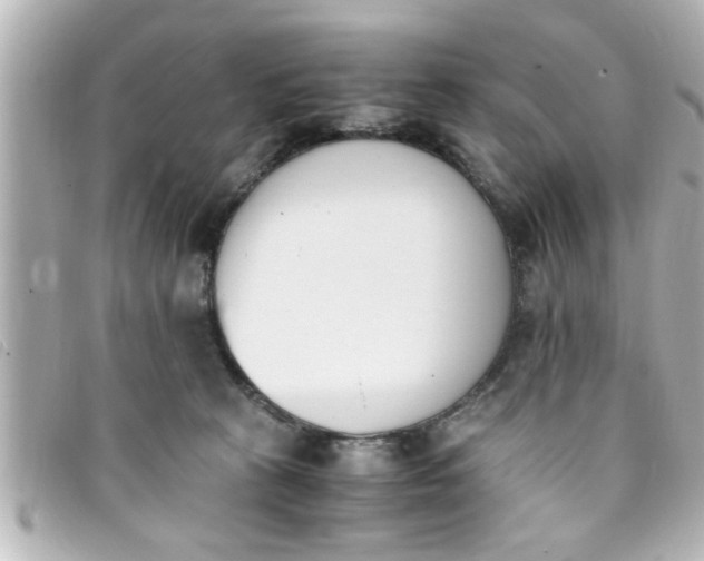 X0000093390273200710251248