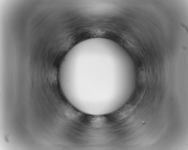 X0000093390274200710251248