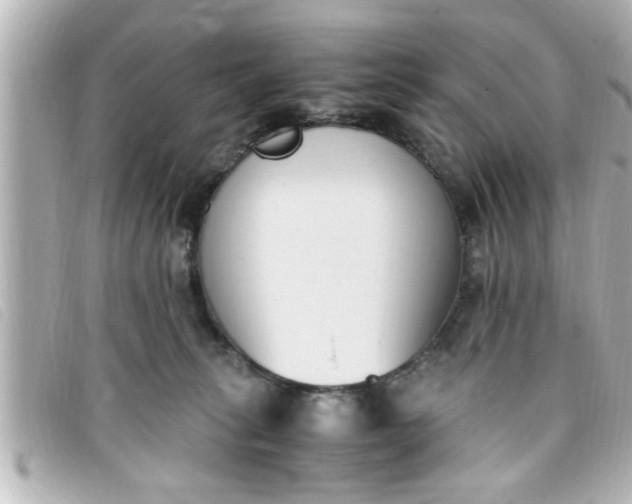 X0000093390275200710251248