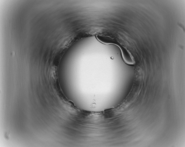 X0000093390280200710251248