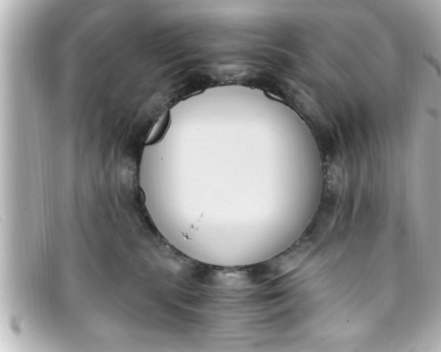 X0000093390283200710251248