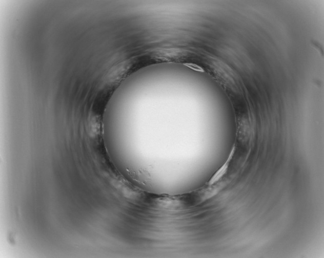 X0000093390284200710251248