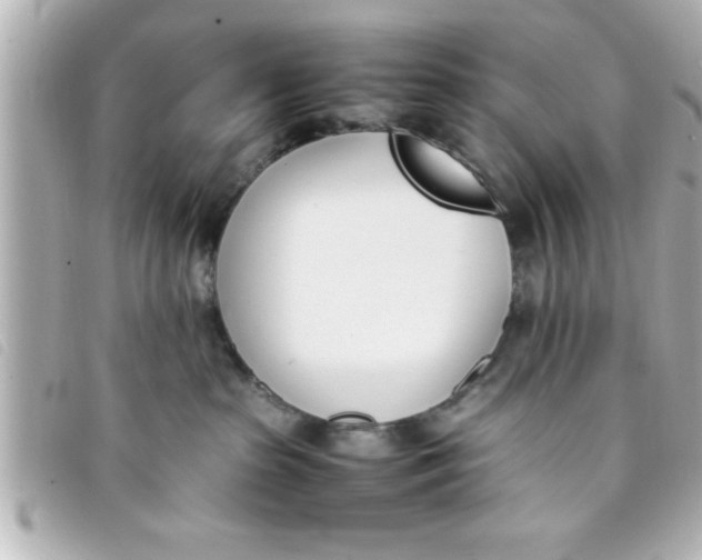 X0000093390285200710251248