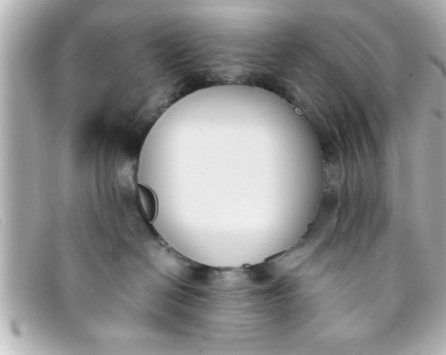 X0000093390286200710251248