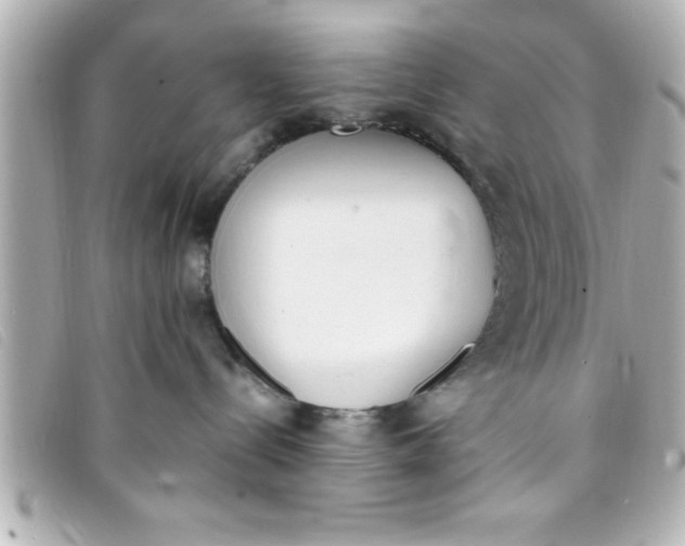 X0000093390288200710251248