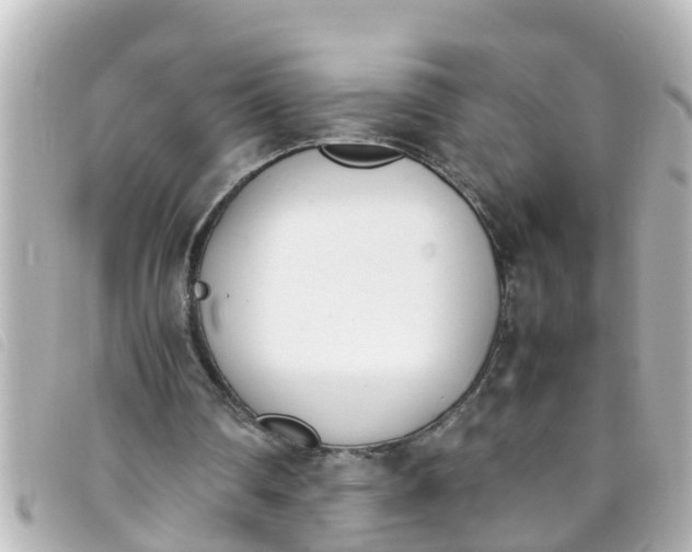 X0000093390290200710251247