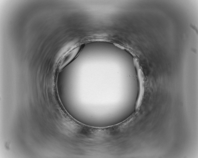 X0000093390293200710251247