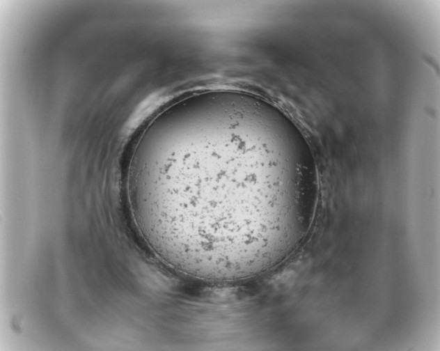 X0000093390295200710251247