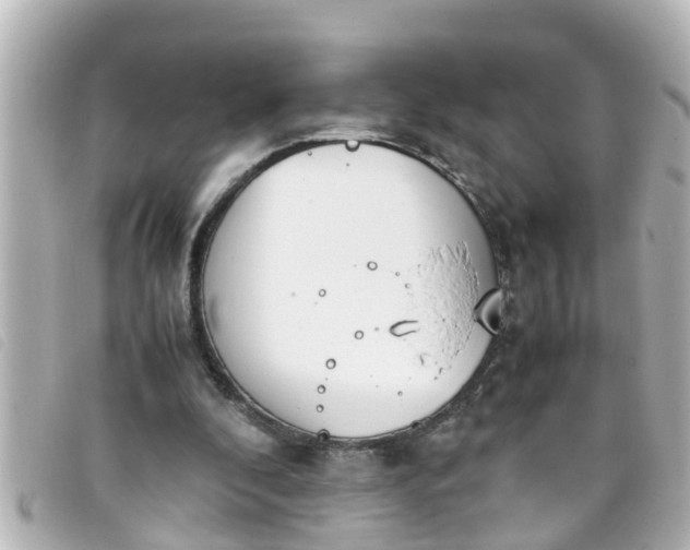 X0000093390296200710251247