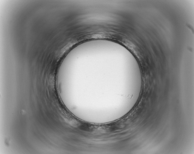 X0000093390297200710251247