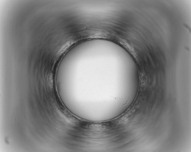 X0000093390298200710251247