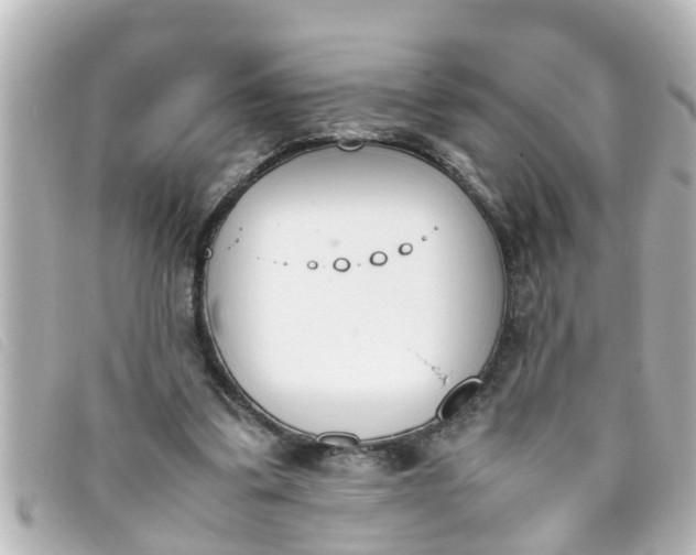 X0000093390299200710251247