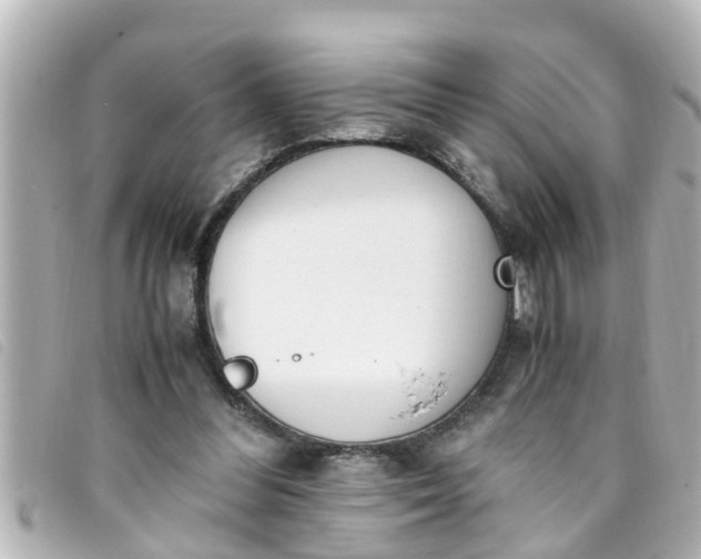 X0000093390300200710251247