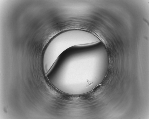 X0000093390301200710251247