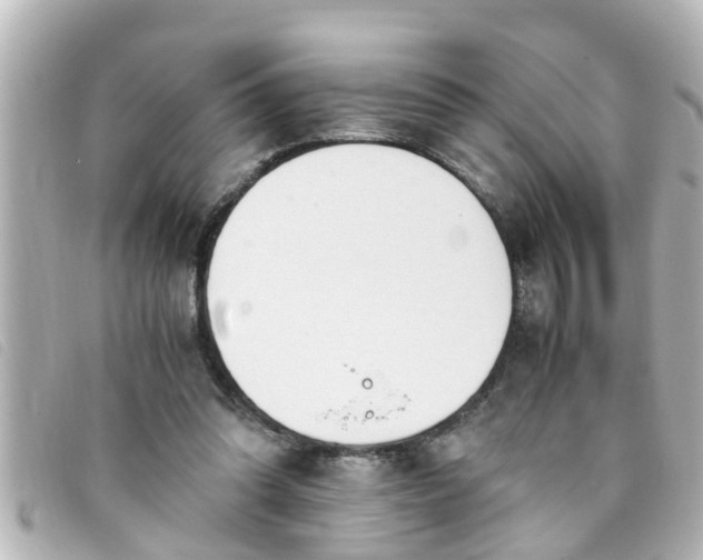 X0000093390302200710251247