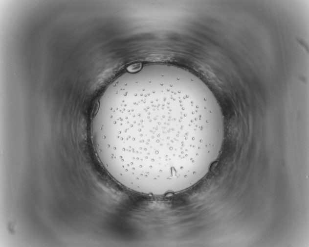 X0000093390303200710251247