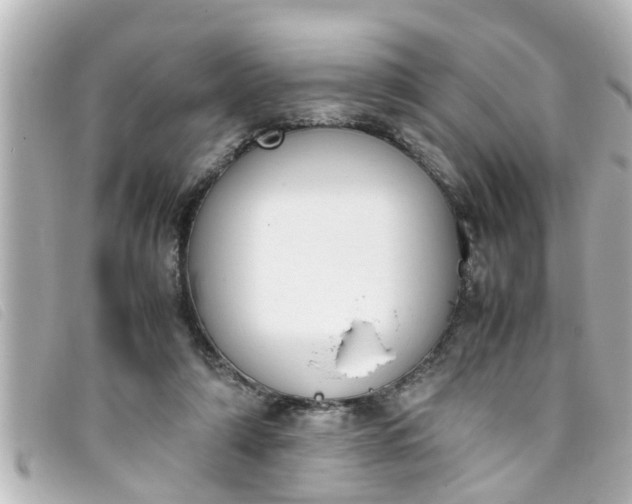 X0000093390306200710251247