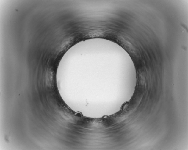 X0000093390308200710251247