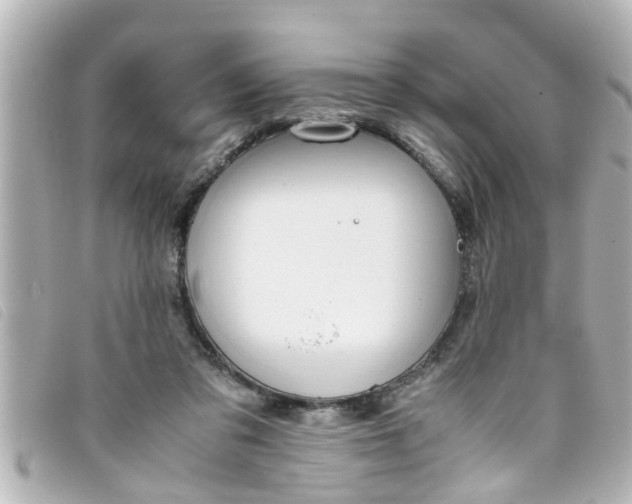 X0000093390309200710251247