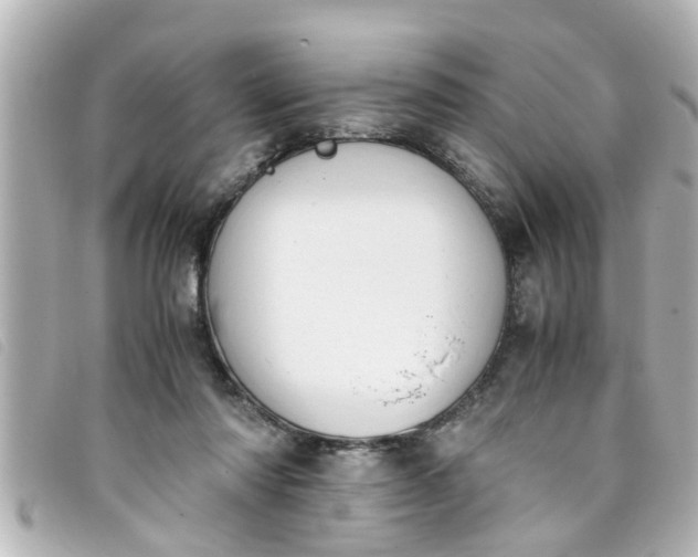 X0000093390310200710251247