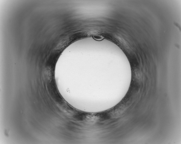 X0000093390311200710251247