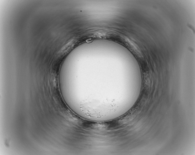 X0000093390313200710251247