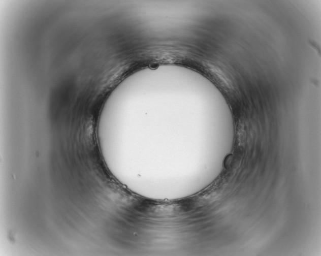 X0000093390314200710251247